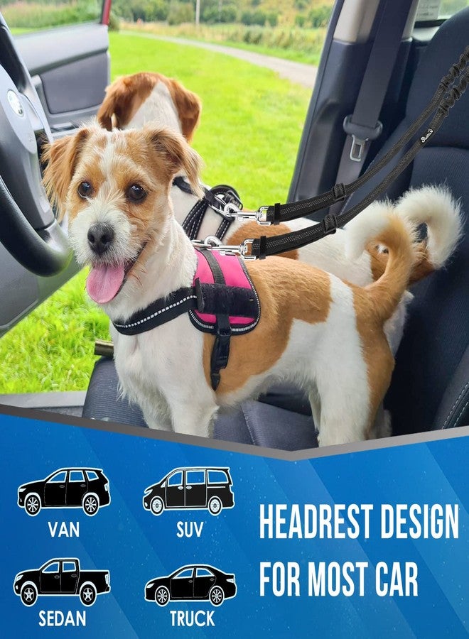 Lukovee Double Dog Seat Belt, New Dual Pet Car Headrest Restraint Safety Seatbelt No Tangle Dog Leash Duty Adjust Elastic Bungee Puppy Lead Splitter Connect Harness in Vehicle Travel (B-Detachable) - Image 3